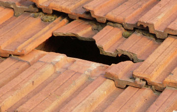 roof repair Burton
