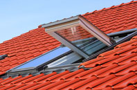 Burton roof window