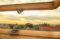 rated Burton roof window companies